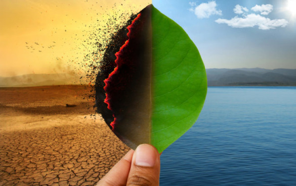 世卫组织说气候变化可能对食品安全产生“相当