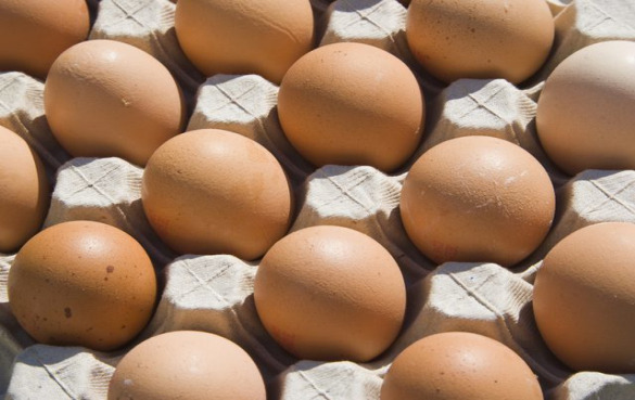 我们应该吃鸡蛋吗？吃鸡蛋会提高你的胆固醇吗