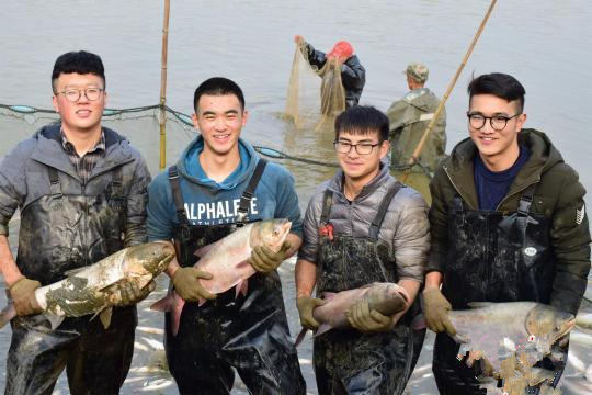 武汉科技大学办“沁湖鱼宴”,师生免费品尝鱼肉大餐