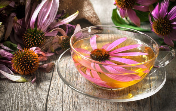 紫锥菊茶的7个健康功效