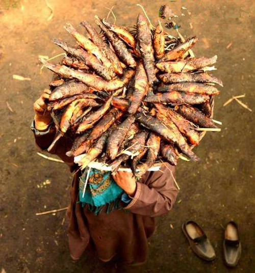 印度美食：百年烟熏鱼